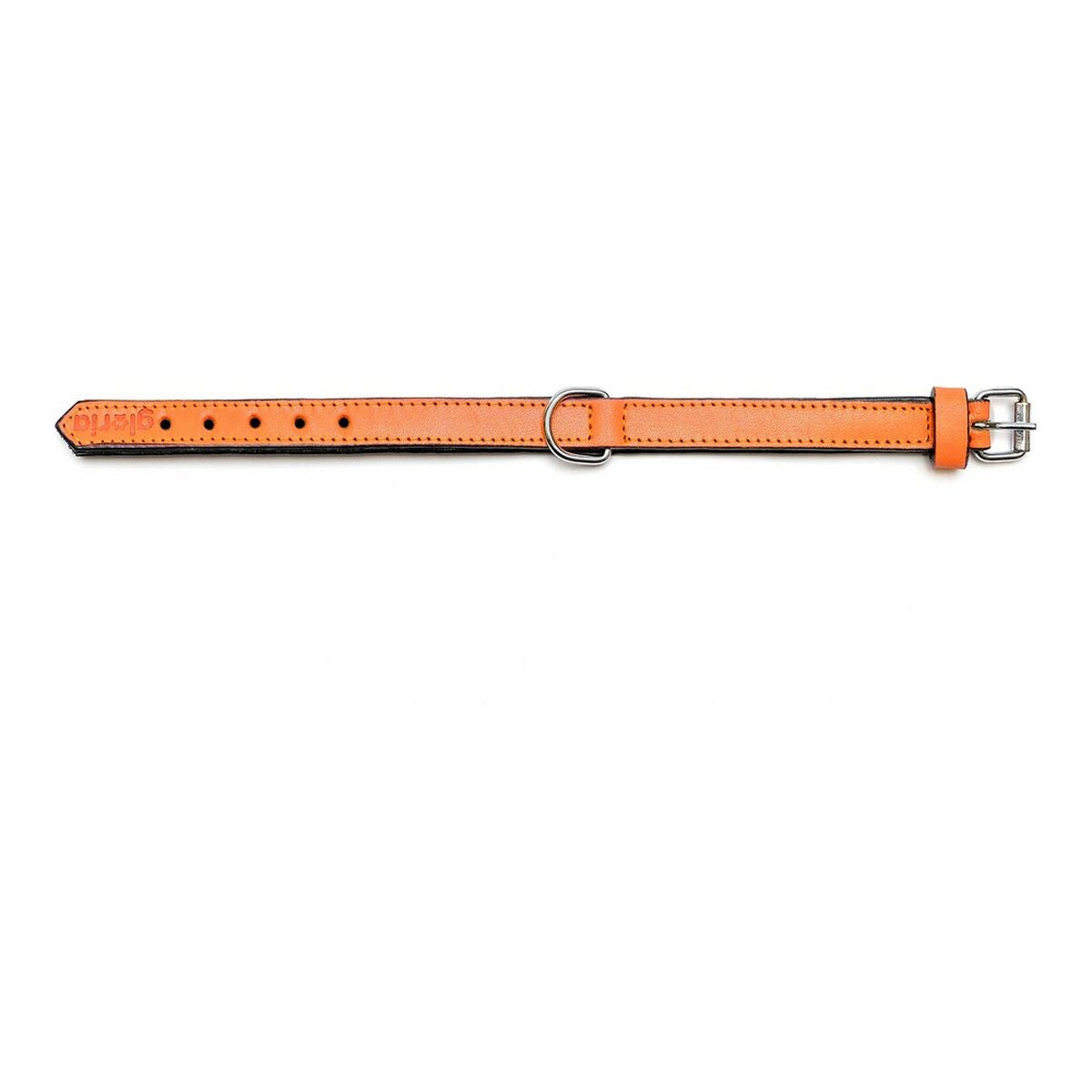 Dog collar Gloria Padded Orange (50 x 2,5 cm)-6