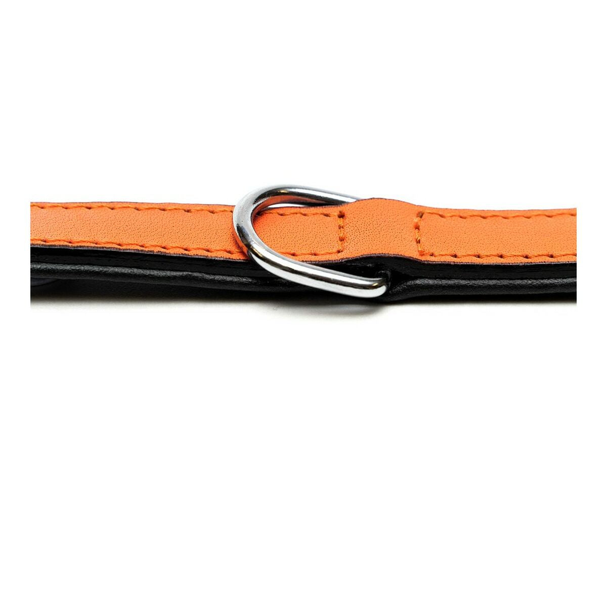 Dog collar Gloria Padded Orange (50 x 2,5 cm)-1