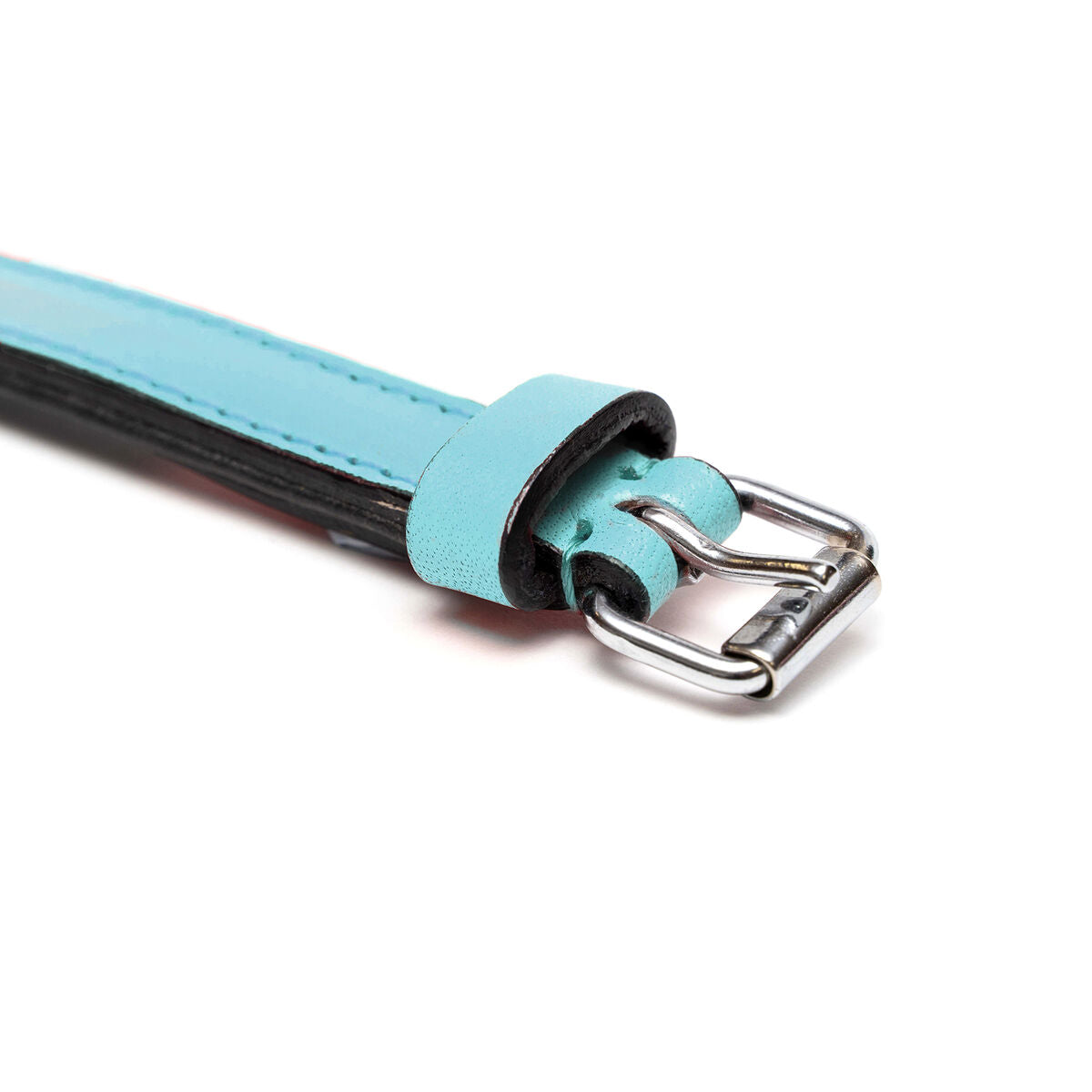 Dog collar Gloria 30 cm Padded Leather Blue-2