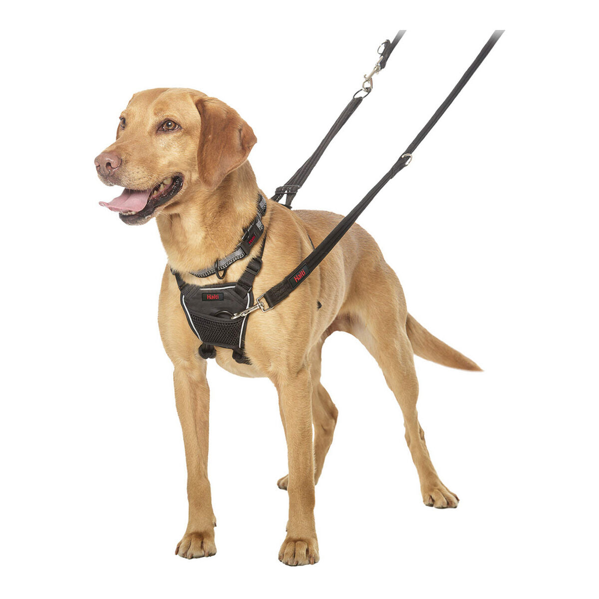 Dog Harness Company of Animals Halti Size M (34-56 cm)-9