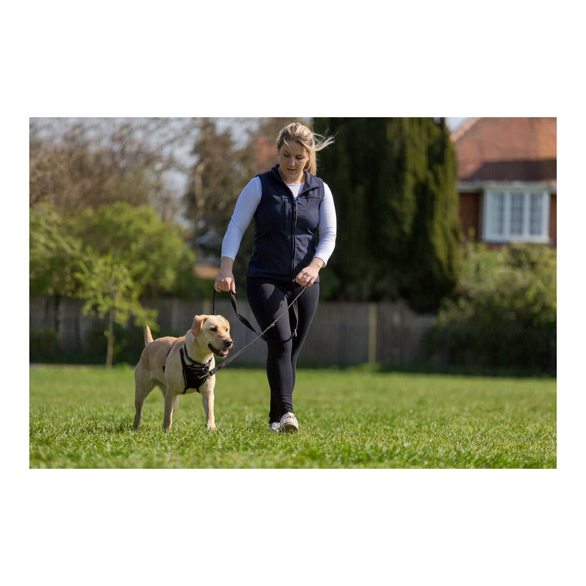 Dog Harness Company of Animals Halti Size M (34-56 cm)-6
