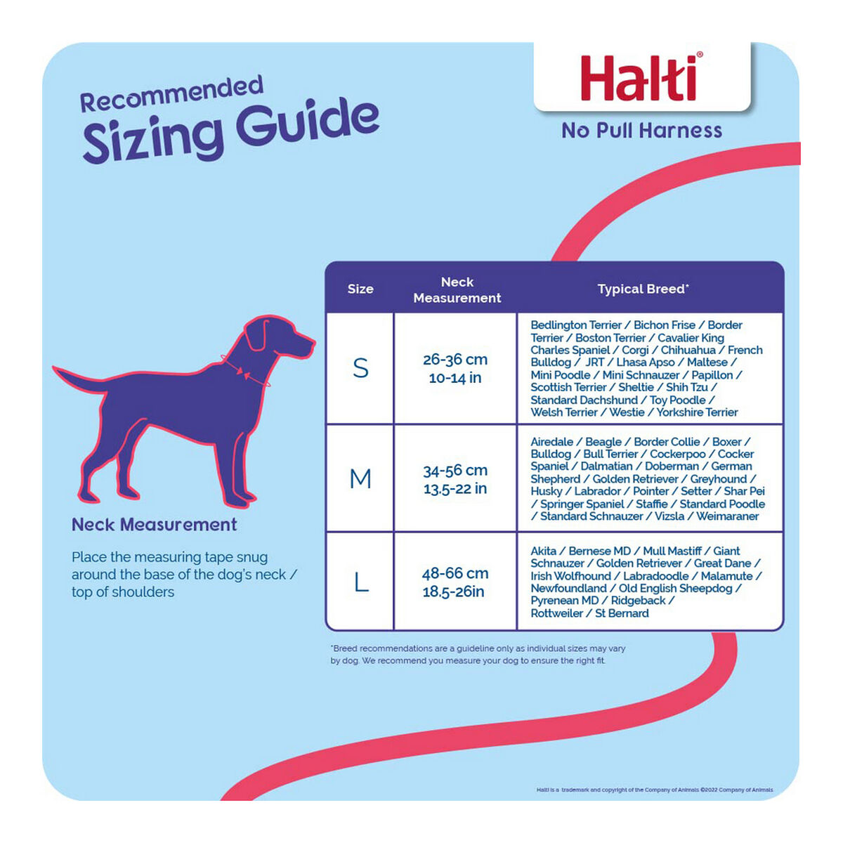 Dog Harness Company of Animals Halti Size M (34-56 cm)-2
