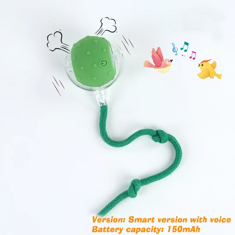 New Dog Interactive Ball Toy,Automatic Rolling Dog Ball Rechargeable,Smart Puppy Interactive Toy,Intelligent Balls Toy for Dogs