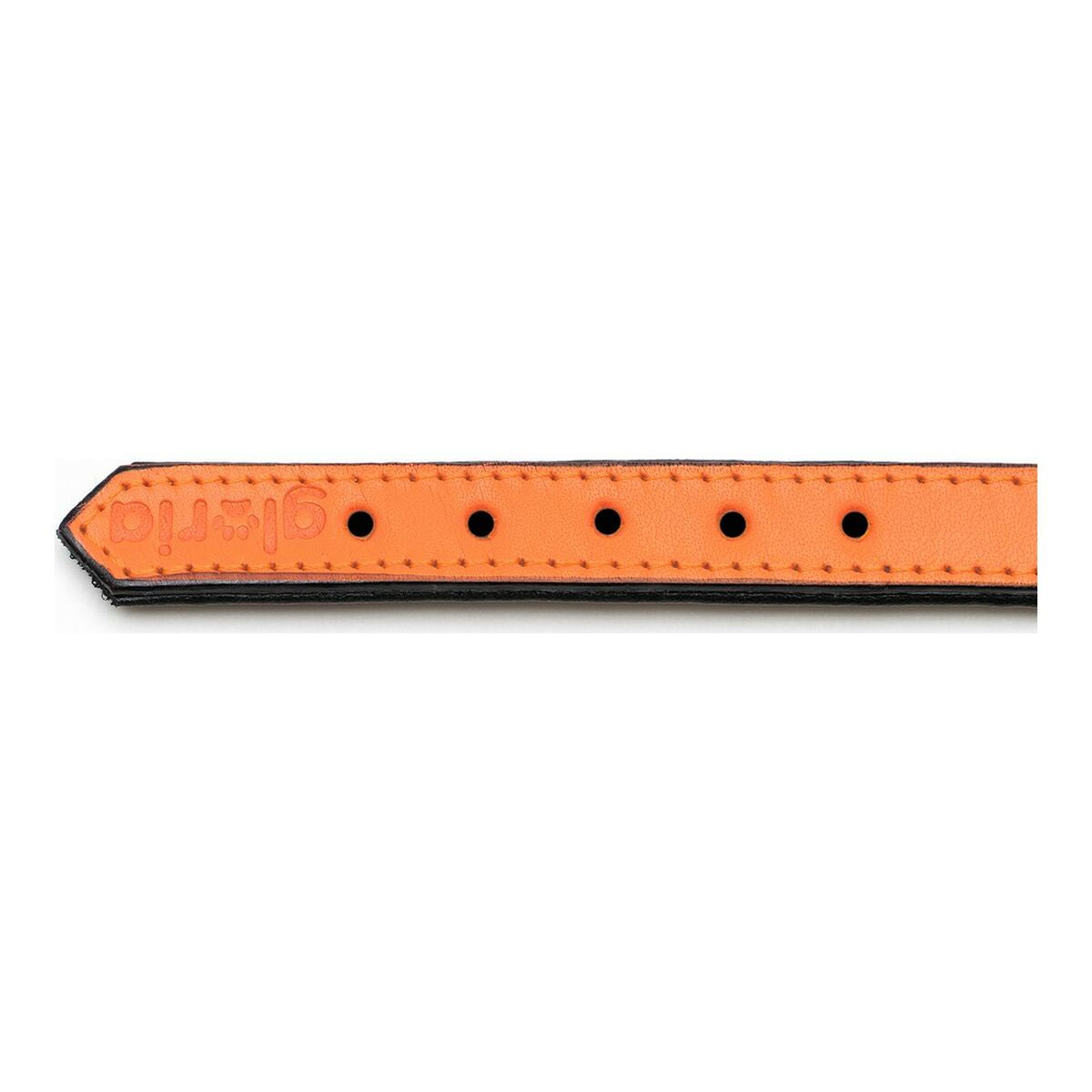 Dog collar Gloria Padded Orange (50 x 2,5 cm)-3