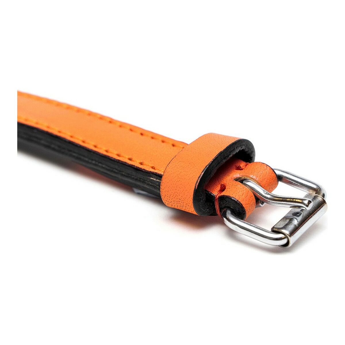 Dog collar Gloria Padded Orange (50 x 2,5 cm)-2