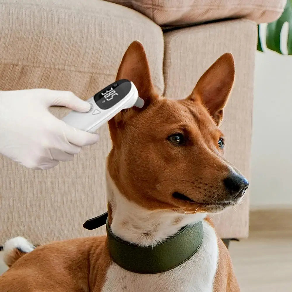 Pet Thermometers For Dogs Dog Tech Supplies Puppy Thermometers Fever Detection Device Pet Supplies High-Precision Clear Led
