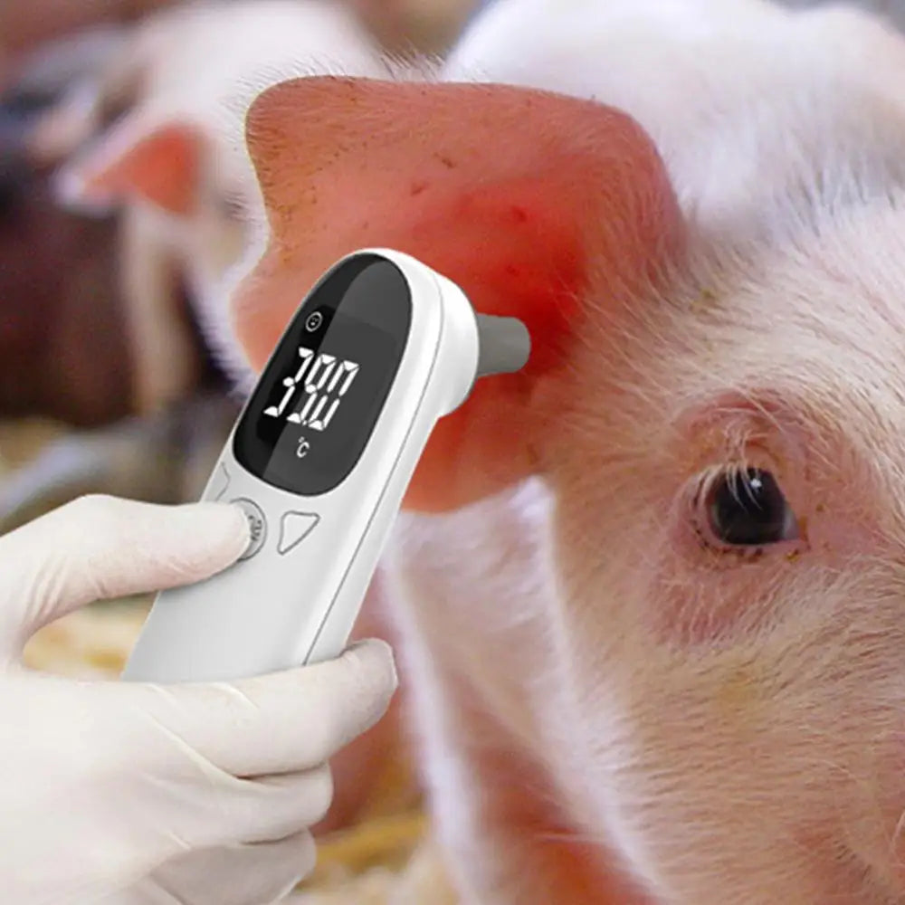Pet Thermometers For Dogs Dog Tech Supplies Puppy Thermometers Fever Detection Device Pet Supplies High-Precision Clear Led