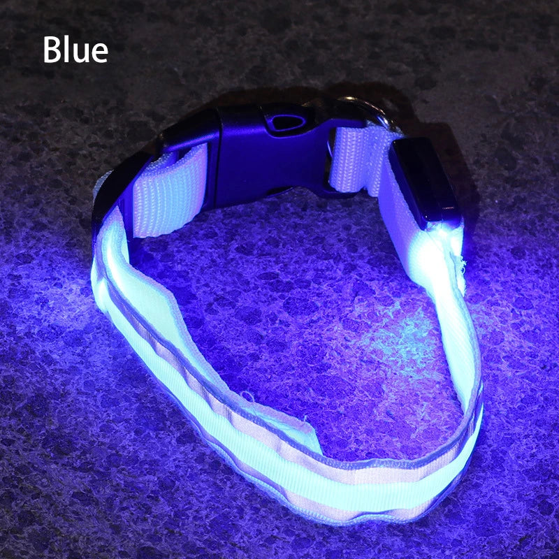 LED Dog Collar Usb Rechargeable Reflective Night Safety 3 Modes Luminous Collar Para Perro For Cat Small Medium Dogs Accessories