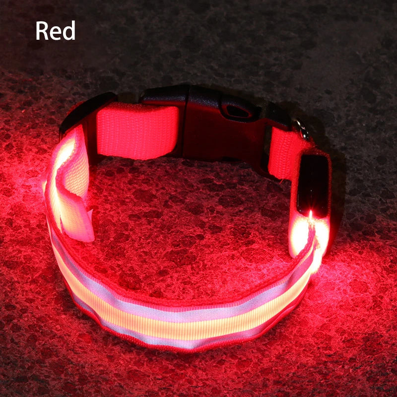 LED Dog Collar Usb Rechargeable Reflective Night Safety 3 Modes Luminous Collar Para Perro For Cat Small Medium Dogs Accessories