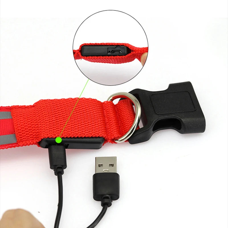 LED Dog Collar Usb Rechargeable Reflective Night Safety 3 Modes Luminous Collar Para Perro For Cat Small Medium Dogs Accessories
