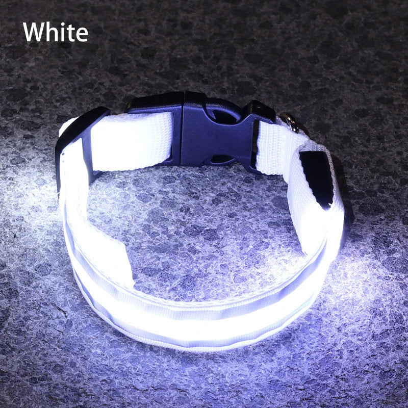 LED Dog Collar Usb Rechargeable Reflective Night Safety 3 Modes Luminous Collar Para Perro For Cat Small Medium Dogs Accessories